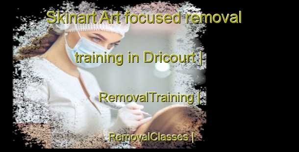 Skinart Art-focused removal training in Dricourt | RemovalTraining | RemovalClasses | SkinartTraining-France